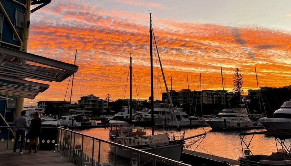 Photo of Whisky Boy in Noosa